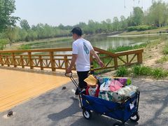 -东郊湿地公园