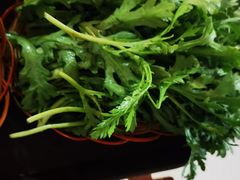 -蘑统田下·野生菌火锅