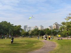-苏晓玥·手作江南小吃(深圳北站店)