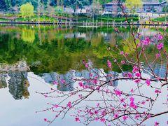 -重庆彩云湖湿地公园