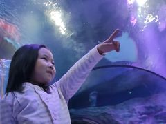 -沈阳海洋探索中心