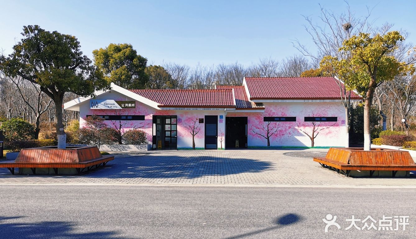 🍓冬日的顾村公园比预期更美🍓