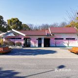 🍓冬日的顾村公园比预期更美🍓