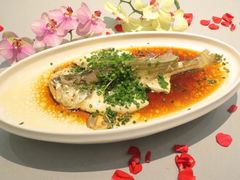 石首鱼-天然台1908(中建广场店)
