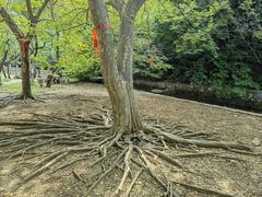 -青檀寺景区
