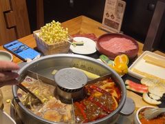 -巴奴毛肚火锅(九洲店)