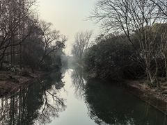 -上海滨江森林公园