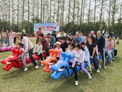 -上海长兴岛郊野公园