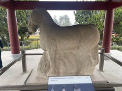 -茂陵博物馆