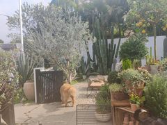 -自由生长植物工作室(深港花卉中心店)