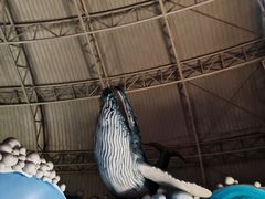 -烟台海昌鲸鲨海洋公园