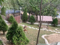 -大连森林动物园