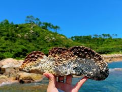 -巽寮湾