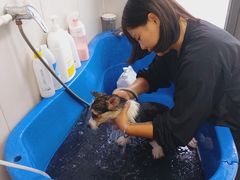 -心仪动物医院·牙专科·肿瘤·心脏科(西客站院)