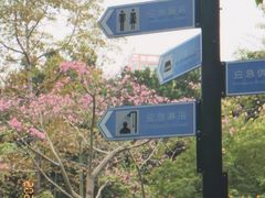-晓港公园