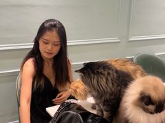 -安格丽娜·狗咖·猫咖羊驼咖(春熙路百盛商场店)