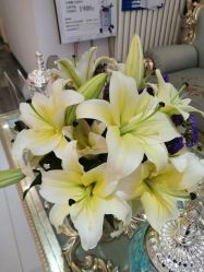 点击看大图 -悦色嘉丽科技美肤健康管理