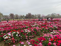 -盈香心动乐园