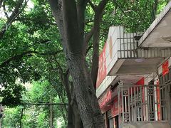 -修记牛杂店(同华东一路店)