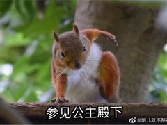 -天津工业大学西苑餐厅