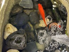 -小四川老火锅(欧风店)