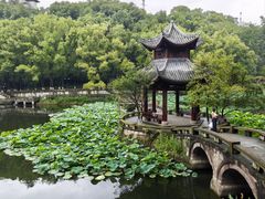 -忠山公园