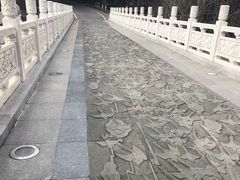 -东湖落雁景区