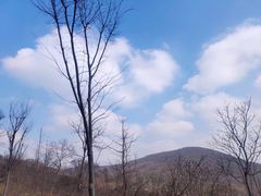 -老山国家森林公园
