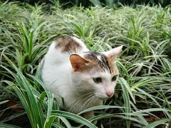 -晓港公园