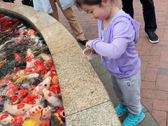 -国色天乡三期陆地乐园