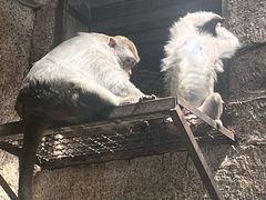 -黔灵山公园