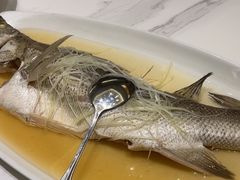 -国惠大酒楼(宝龙店)
