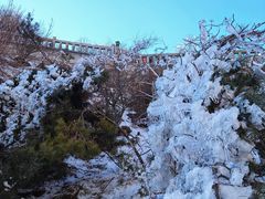 -泰山风景名胜区