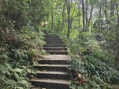 -黔灵山公园