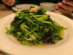 -東大方(湖州白鹭迎店)
