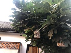 -甲乙丁書店·书茶咖·四合院
