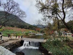 -广州市石门国家森林公园