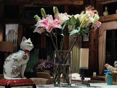 -一棵树·意大利西餐厅One Tree(新城店)