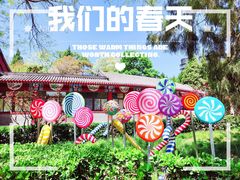 -陶然亭公园