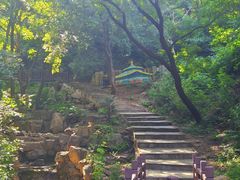 -北京西山国家森林公园