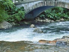 -广州市石门国家森林公园