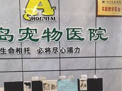 -半岛宠物医院24小时(西派城店)