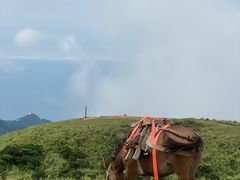 -七娘山