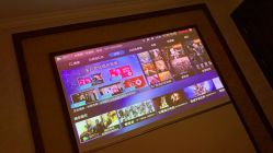 -MIVI野生眉纹绣纹眉