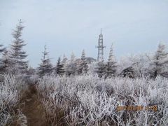 -阳台山自然风景区