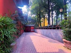 -重庆市江北嘴中央商务区中央公园