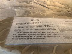 -白鹤梁水下博物馆