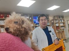 -瑞派宠物医院·24h·骨外科·皮肤科·全科宠物医疗转诊中心(沈阳浑南院)