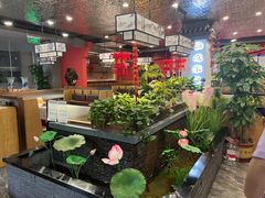 -洞庭家宴·头牌甲鱼(广渠门店)