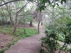 -紫金山山顶公园